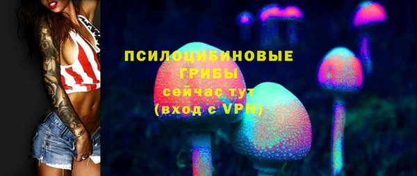 винт Арсеньев