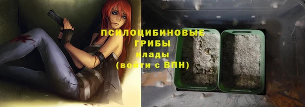 винт Армянск