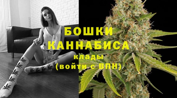 винт Армянск