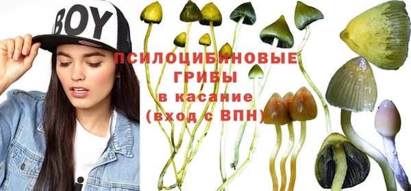 винт Арсеньев