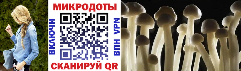 сайты даркнета формула  ОМГ ОМГ ССЫЛКА  Бокситогорск  Псилоцибиновые грибы Magic Shrooms 