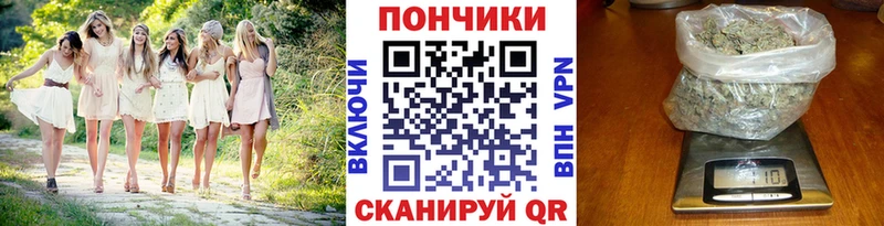 где можно купить наркотик  mega ONION  Бошки Шишки план  Бокситогорск 